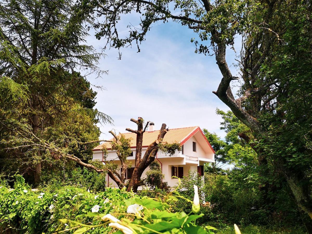 منزل الضيف San Leonardo de Siete Fuentes  في Locanda Sottobosco المظهر الخارجي الصورة